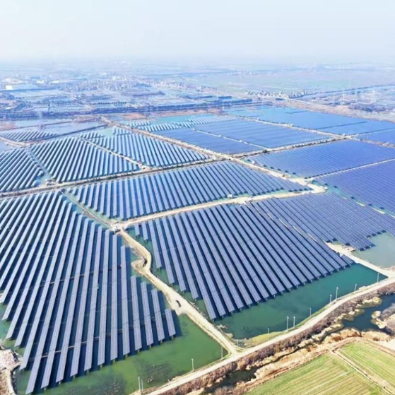 Solar Farm Cable Route Scope
